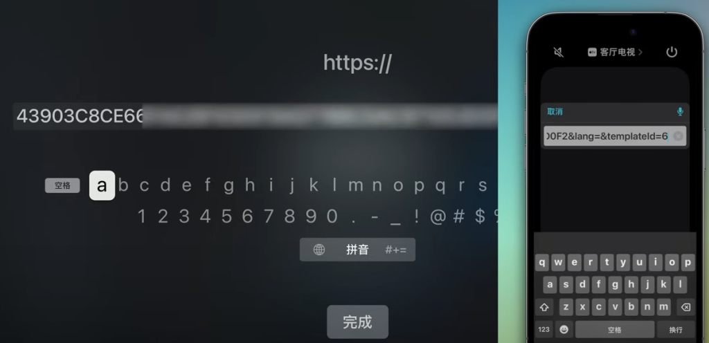 AppleTV上使用Quantumult X(圈X) 配置代理服务插图1